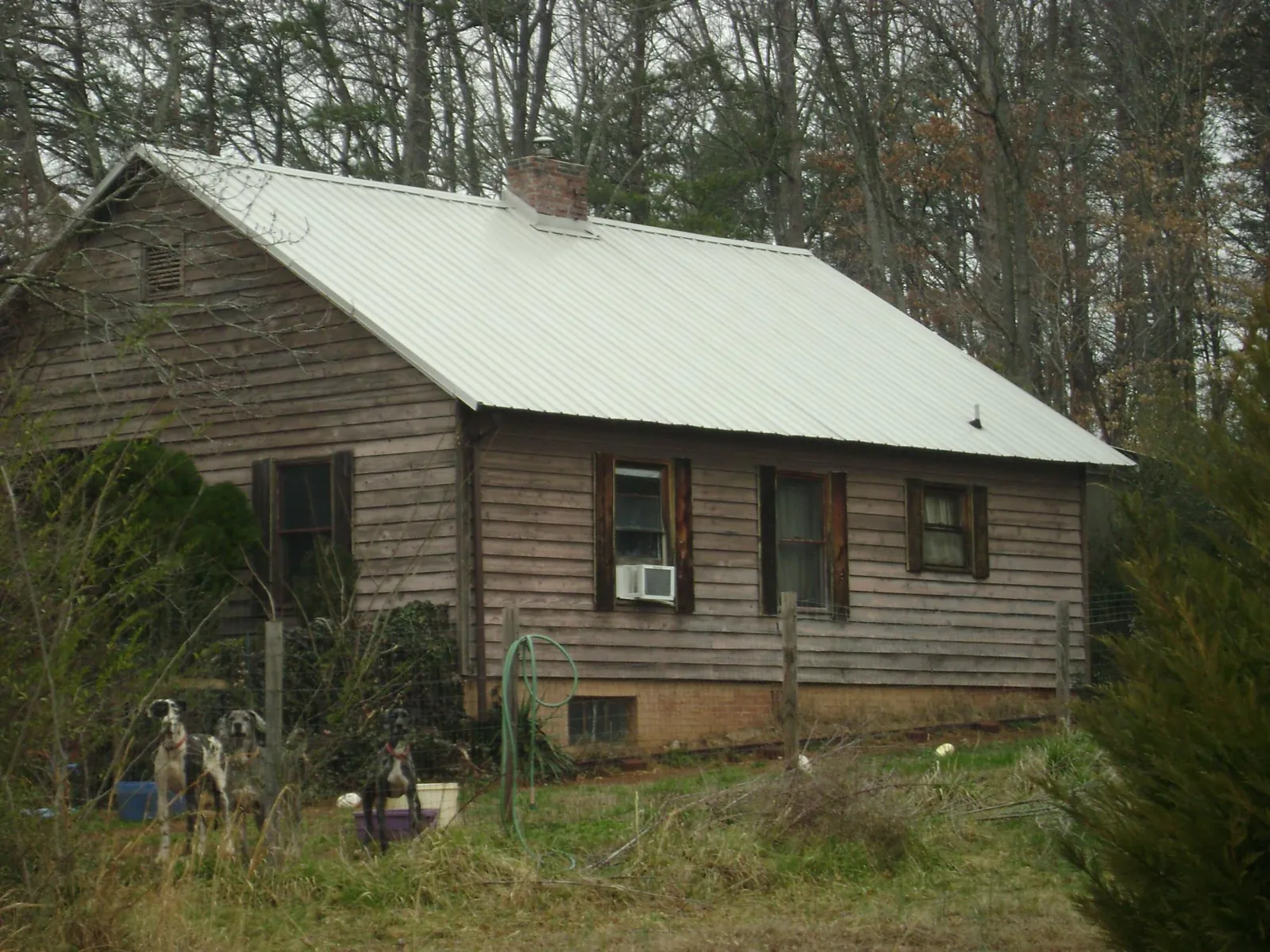 White metal roof on an old wood sided farmhouse, from a Metal Roof Installation job in Twain